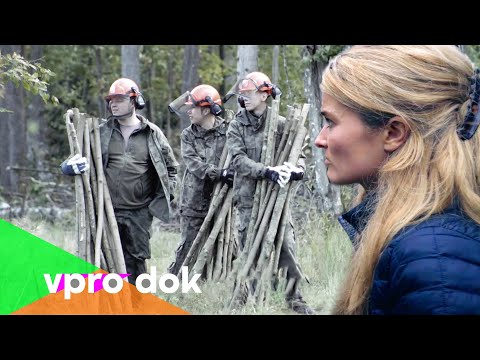 Warum Europas einziger Urwald für Spannungen sorgt (Mein Polen 2/5) | VPRO Dok