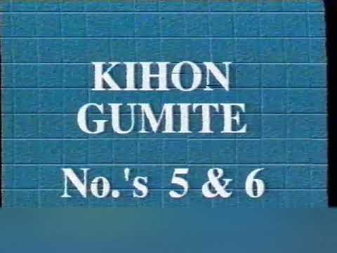 Kihon Kumite 5 & 6