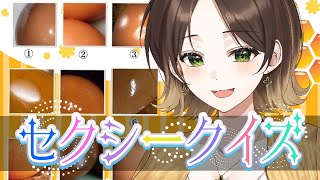 【外したらぶるぶる！？！？】セクシークイズ！【蜂弥みつね/発情レジデンス】