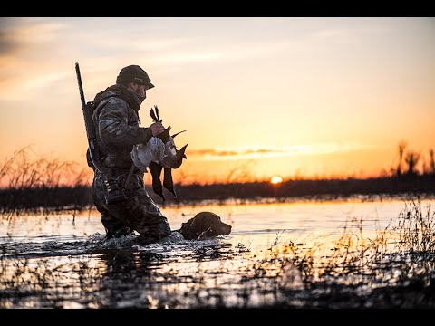 Gunner, The Dog That Changed My Life | GUNNER PRESENTS