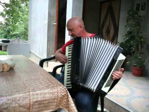 Zuhdija Zule Redzic - Sladjana,zbogom /Otisla si moja ljubavi/