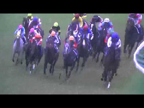 スプリンターズステークス2014　スノードラゴンG1初制覇