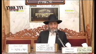 "השבת היא לא שחורה" - הרב פנחס רז שליט"א.