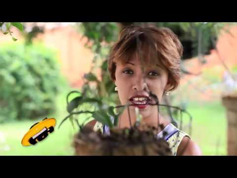 Ny Ainga - Zaho ho vadinao  [ Music Video ]