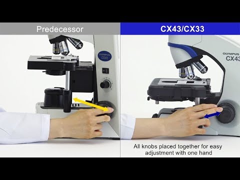 CX33 Olympus Microscope