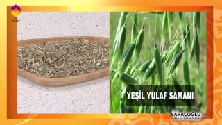 Tıbbi Bitkiler - Yulaf Samanı - TRT DİYANET