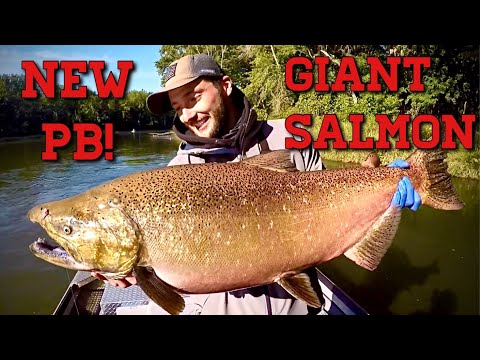 30lb King Salmon - Michigan Skein Bobber Downs