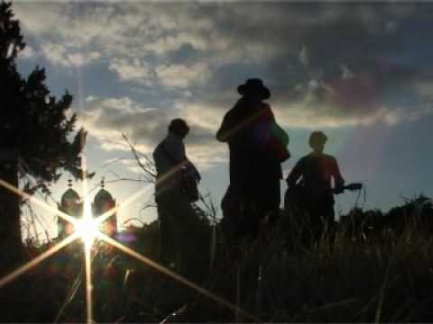 The Felice Brothers - Waterspider (Cornbury Festival 2007)