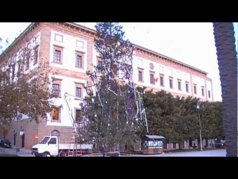 von Saccense Ciappe Ciappe