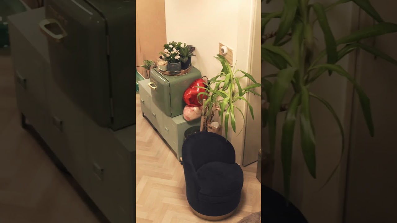 Office Amelia Video — Goldfishstudio videography