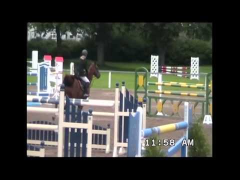 BLM Sport Horses - 2013 - Dinken Diamond By: Diarado
