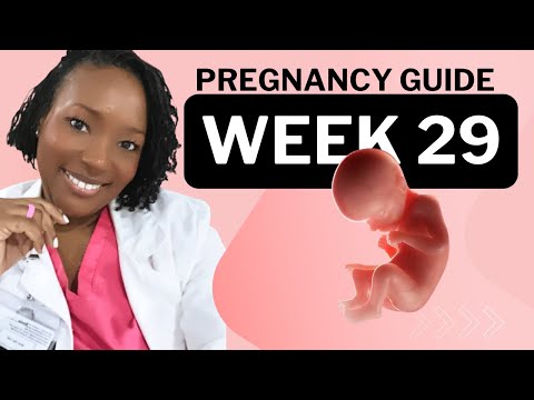 29 Weeks Pregnant? Here’s What No One Tells You (But You Need to Know!)