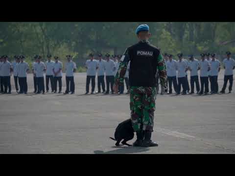 DEMO BRIGADE ANJING SATPOM LANUD SULTAN HASANUDDIN PADA UPACARA HUT POMAU KE-77 TAHUN 2023