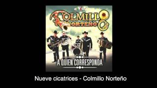 Video Nueve Cicatrices (Audio) de Colmillo Norteño 