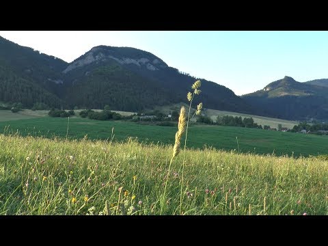 Thumbnail for For The Beauty of The Earth video