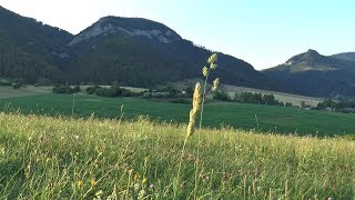 For The Beauty of The Earth