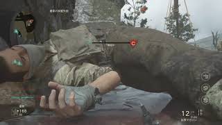 Call of Dutyww2プライベートマッチ8