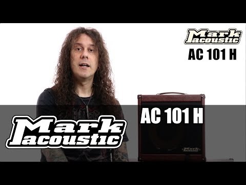 DV Mark AC101H Acoustic Guitar Amplifier image 11