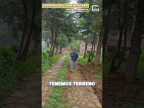 Terrenos de 1/4 de Manzana para Quintas en Juayúa Sonsonate #elsalvador #nayibbukele #venta #montain
