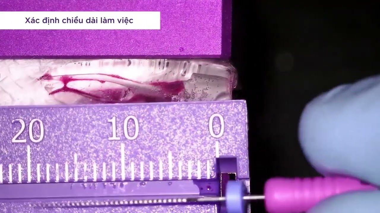 RACE EVO - Trâm máy nội nha xoay tròn - 1 cây