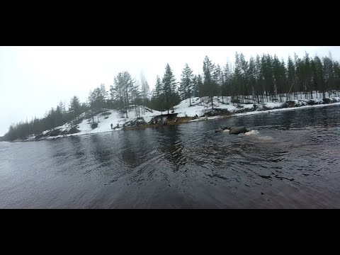 Marching through land and water | Reconnaissance exercise | Finnish Military Service