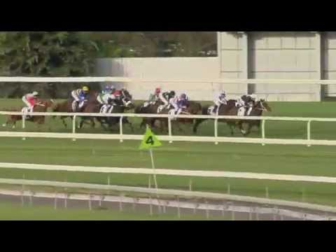 2014.05.17 Doomben Cup - Streama