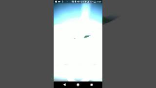 キャモメ ポケットモンスター ヤミラミ ピカチュウ イワーク キャモメ ポケットモンスター ヤミラミ ピカチュウ イワーク