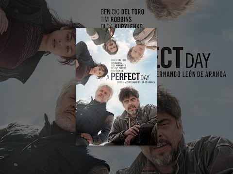A Perfect Day