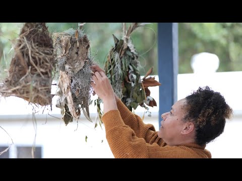 Yarrawarra Aboriginal Cultural Centre