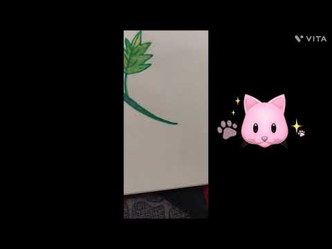 Beautiful flower.❤️❤️❤️❤️❤️❤️❤️💙💙💙💙💙💙💙💙💙💗💗💖💝💝🩷💓🩷💓💝💖💗💙❤️