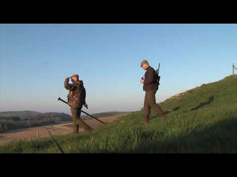 voorjaarsjacht op reebok in Schotland