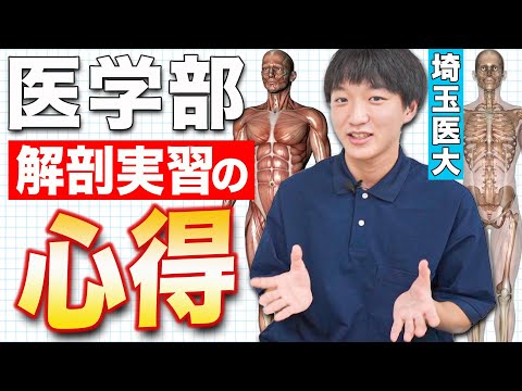 医学科 医学部生が解剖学実習のリアルをお伝えします。