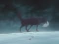Волчий дождь (Wolf's Rain) трейлер by Todes Em 