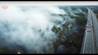 28 Hektar Wald brennen im Heidekreis (Waldbrand, Feuer, Feuerwehr, Autobahn, Polizei)