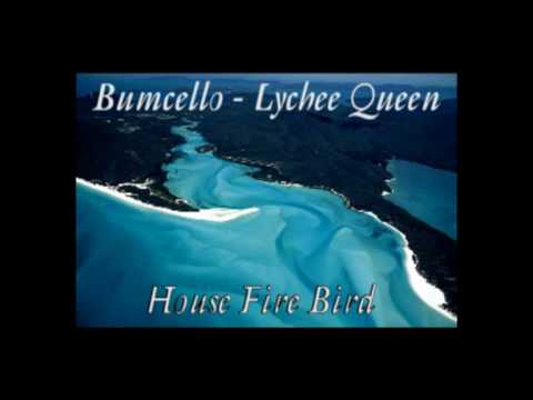 Bumcello - House Fire Bird  [Lychee Queen]
