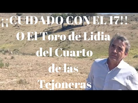 ‼️¡CUIDADO CON EL 17! O El Toro de Lidia del Cuarto de Las Tejoneras