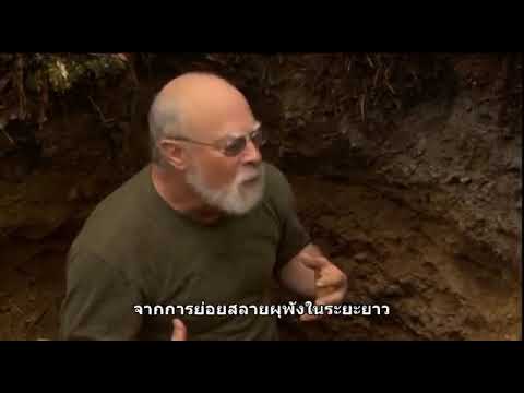 y2mate com   symphony of soil tDZVKMe2FTg 360p