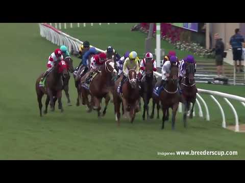 Breeders' Cup Juvenile Turf FOR COLTS AND GELDINGS,