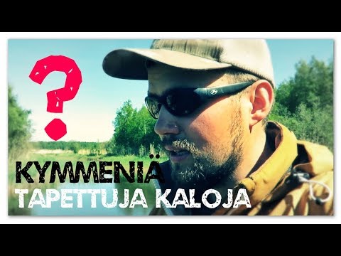 Pohjapadolla kalakuolemat jatkuu...