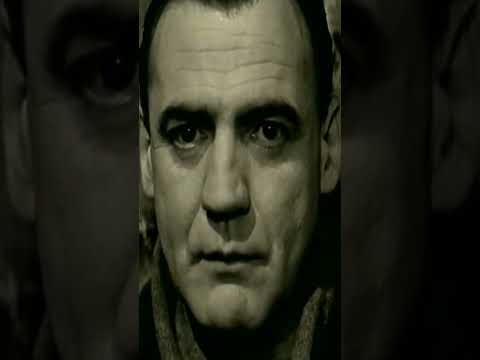 Wings Of Desire (trailer) | V2 MO Full Scene 2/5