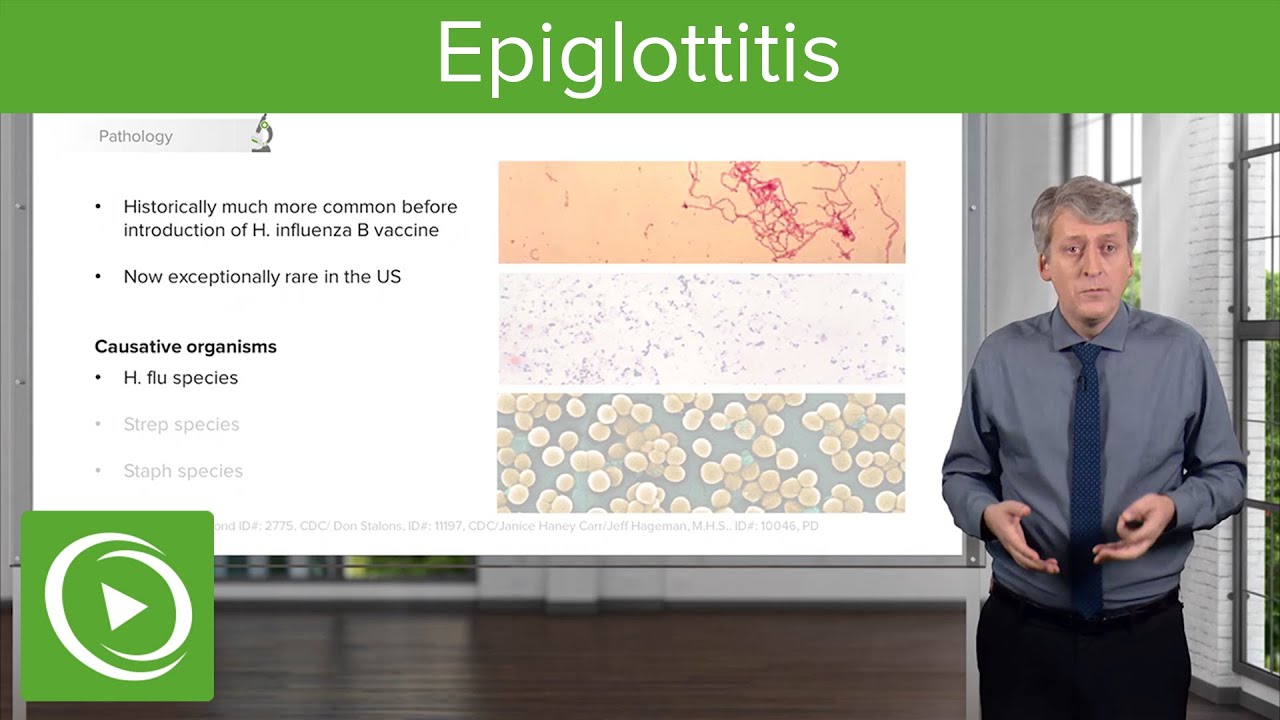 Infections of the Upper Pediatric Airway: Epiglottitis – Pediatric Infectious Diseases | Lecturio - YouTube