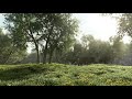 3D Nature Of Jungle Feel This Sound Headphone WhatsApp Status