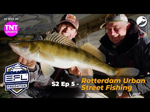 🏆 European Fishing League 2023 - EFL S2 Ep5 - Rotterdam Urban Street Fishing | Predator Fishing