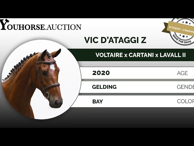 Vic d'Ataggi Z showvideo