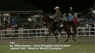 preview picture of video 'AVA 2012 Missouri Foxtrotter 3 Years World Championship'