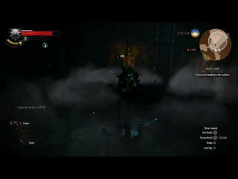 270 Let's play a bit of The Witcher 3 Wild Hunt