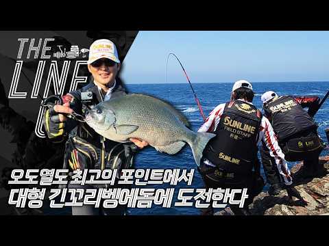 [더라인업] 오도열도 최고의 포인트에서 대형 긴꼬리...