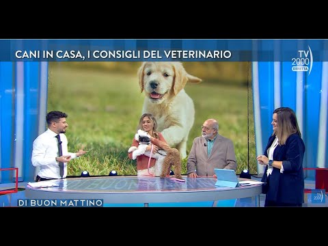 Di Buon Mattino - puntata dell'11 ottobre 2022