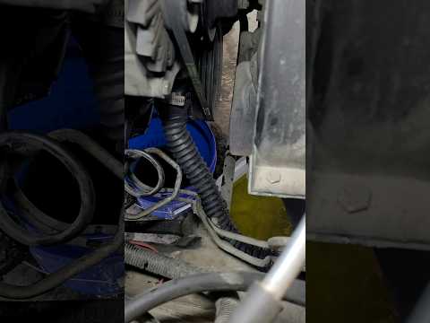 New Style Radiator Hose?