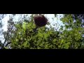 Genelia Introduction Scene In Happy Genelia HD Scenes By SVR STUDIOS